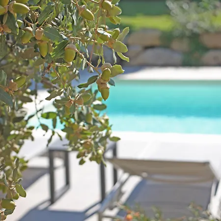 Hotel Domaine Mandarine &