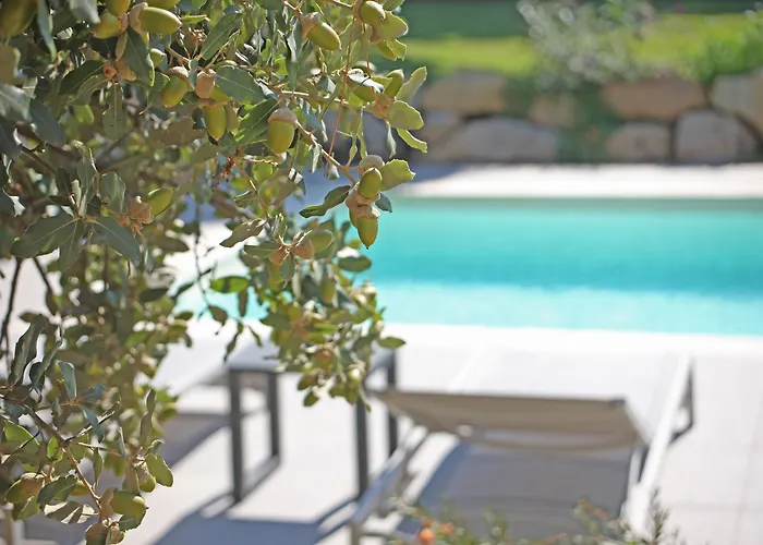 Hotel Domaine Mandarine &